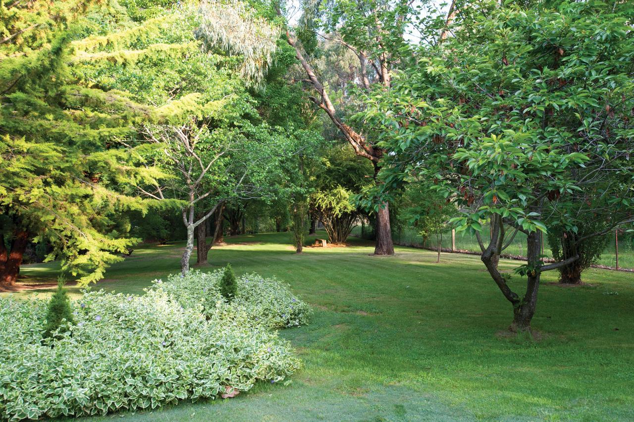 Clifton Gardens Bed & Breakfast - Orange Zewnętrze zdjęcie